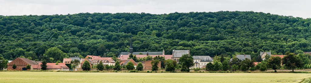 Wettbewerb Neubau Landesweingut Kloster Pforta