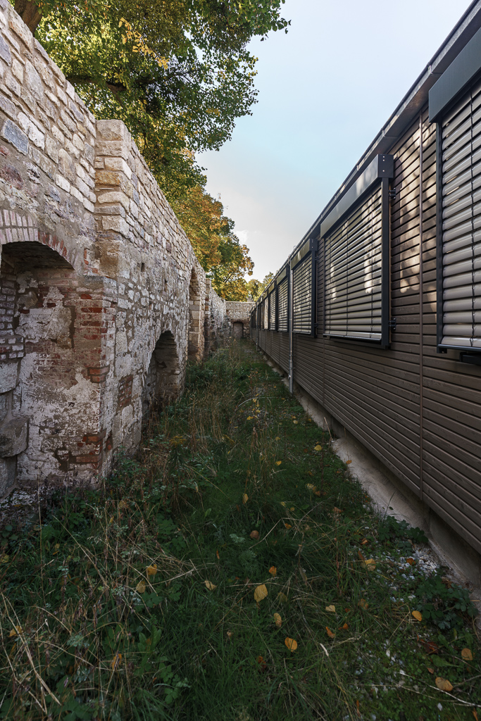 Interim Landesschule Pforta - Historische Mauer Brauerei